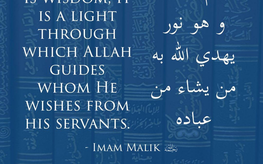 Support from Scholars